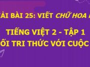 Viết Chữ hoa N. Nói lời hay làm việc tốt Tiếng Việt 2