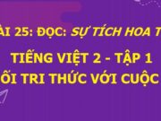 Soạn bài Sự tích hoa tỉ muội SGK Tiếng Việt 2 Kết nối tri thức với cuộc sống