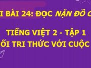 Bài 24: Nặn đồ chơi Tiếng Việt lớp 2 Kết nối tri thức