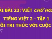 Viết Chữ hoa M trang 102 SGK Tiếng Việt 2