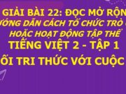 Bài 22: Đọc mở rộng Hướng dẫn cách tổ chức trò chơi Tiếng Việt lớp 2