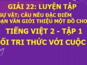 Luyện tập trang 99, 100 Tiếng Việt 2 tập 1 Kết nối tri thức