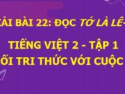 Soạn bài Tớ là Lê-gô Tiếng Việt 2Kết nối tri thức