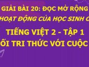 Bài 20: Đọc mở rộng chủ đề Hoạt động của học sinh ở trường SGK Tiếng Việt 2