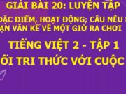 Luyện tập trang 91, 92 SGK Tiếng Việt 2 Kết nối tri thức