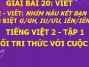 Nghe – viết: Nhím nâu kết bạn SGK Tiếng Việt lớp 2 tập 1