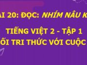 Soạn bài Nhím nâu kết bạn Tiếng Việt lớp 2