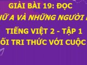 Soạn bài Chữ A và những người bạn Tiếng Việt 2 Kết nối tri thức với cuộc sống