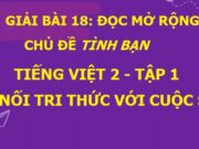 Bài 18: Đọc mở rộng Chủ đề Tình bạn Tiếng Việt lớp 2