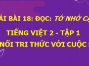 Soạn bài Tớ nhớ cậu Tiếng Việt 2 Kết nối tri thức với cuộc sống