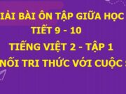 Tiết 9, 10 Ôn tập giữa học kì 1 Tiếng Việt lớp 2 SGK Kết nối tri thức