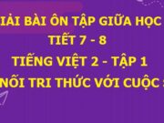 Tiết 7, 8 Ôn tập giữa học kì 1 trang 75 SGK Tiếng Việt 2 Kết nối tri thức