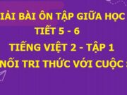 Tiết 5, 6 Ôn tập giữa học kì 1 Tiếng Việt lớp 2 Kết nối tri thức với cuộc sống