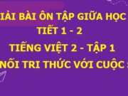 Tuần 9: Tiết 1, 2 Ôn tập giữa học kì 1 SGK Tiếng Việt 2 Kết nối tri thức