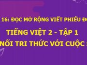 Bài 16: Đọc mở rộng: Viết phiếu đọc sách Tiếng Việt lớp 2