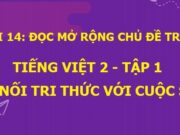 Bài 14: Đọc mở rộng chủ đề Trường học Tiếng Việt lớp 2