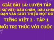 Luyện tập trang 60, 61 SGK Tiếng Việt 2 Kết nối tri thức với cuộc sống