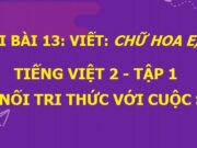 Viết Chữ hoa E, Ê SGK Tiếng Việt 2 tập 1 Kết nối tri thức với cuộc sống