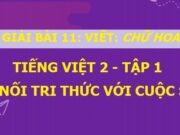 Viết chữ hoa Đ. Đi một ngày đàng học một sàng khôn Tiếng Việt 2 Kết nối tri thức