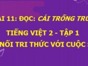 Soạn bài Cái trống trường em Tiếng Việt 2 Kết nối tri thức với cuộc sống