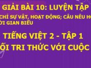 Luyện tập trang 46, 47 SGK Tiếng Việt 2 Kết nối tri thức