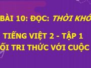 Soạn bài Thời khóa biểu Tiếng Việt lớp 2 Kết nối tri thức