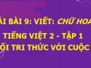 Viết Chữ hoa D. Viết dung dăng dung dẻ Tiếng Việt lớp 2