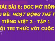 Đọc mở rộng Chủ đề Hoạt động thể thao Tiếng Việt 2 Kết nối tri thức