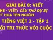 Nghe – viết: Cầu thủ dự bị Tiếng Việt lớp 2