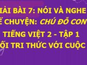 Nói và nghe Kể chuyện Chú đỗ con