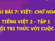 Viết: Chữ hoa C. Viết ứng dụng Có công mài sắt có ngày nên kim