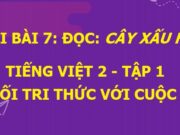 Soạn bài Cây xấu hổ Tiếng Việt lớp 2 Kết nối tri thức với cuộc sống