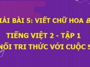 Viết Chữ hoa B. Bạn bè chia sẻ ngọt bùi Tiếng Việt lớp 2