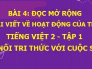 Đọc mở rộng Đọc bài viết về hoạt động của thiếu nhi Tiếng Việt 2