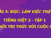 Soạn bài Làm việc thật là vui Tiếng Việt 2 tập 1 Kết nối tri thức