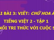 Viết Chữ hoa Ă, Â. Ăn quả nhớ kẻ trồng cây Tiếng Việt 2 Kết nối tri thức