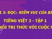 Soạn bài Niềm vui của Bi và Bống Tiếng Việt 2 Kết nối tri thức