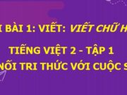 Viết: Chữ hoa A. Ánh nắng tràn ngập sân trường Tiếng Việt 2 Kết nối tri thức