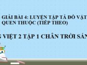 Luyện tập tả đồ vật quen thuộc (tiếp theo) Tuần 17 Tiếng Việt 2 Chân trời sáng tạo