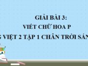 Viết Chữ hoa P. Phố xá nhộn nhịp Tiếng Việt 2 Chân trời sáng tạo