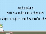 Nói và đáp lời cảm ơn Tiếng Việt lớp 2 Chân trời sáng tạo tập 1