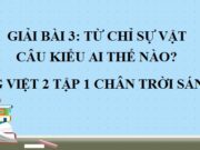 Từ chỉ đồ vật Câu kiểu Ai thế nào?  trang 124 SGK Tiếng Việt 2 Chân trời sáng tạo