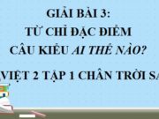 Từ ngữ chỉ màu sắc, hình dáng Câu kiểu Ai thế nào? Tiếng Việt lớp 2 Chân trời sáng tạo