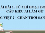 Từ ngữ chỉ hoạt động. Câu kiểu ai làm gì? Tiếng Việt lớp 2