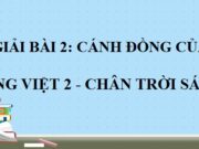 Soạn bài Cánh đồng của bố Tiếng Việt lớp 2 Chân trời sáng tạo