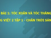 Soạn bài Tóc xoăn và tóc thẳng Tiếng Việt 2Chân trời sáng tạo