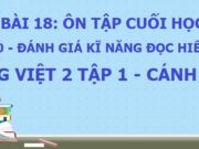 Tiết 9, 10 Bài 18: Ôn tập cuối học kì 1 Tiếng Việt 2 Cánh diều