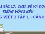 Bài 17: Chị ngã em nâng – Soạn bài Tiếng võng kêu