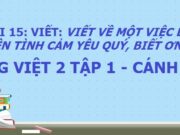 Bài viết 2: Viết về một việc em đã làm thể hiện tình cảm yêu quý, biết ơn bố mẹ