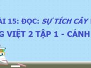 Trả lời câu hỏi đọc hiểu bài Sự tích cây vú sữa Tiếng Việt 2 Cánh diều